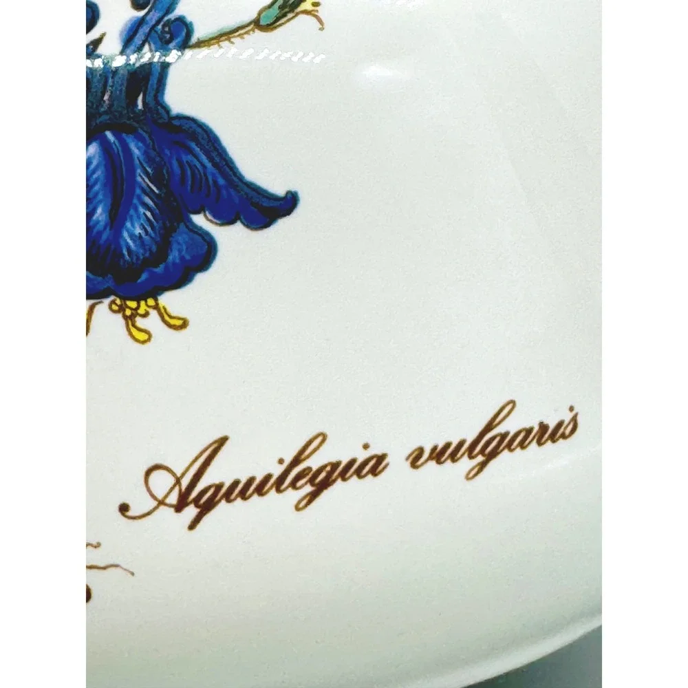 Villeroy and Boch Botanica Teapot Aquilegia Vulgaris Tea Pot 6.5 inch